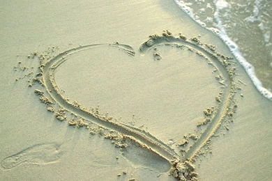 Cute Wallpapers   Crazy Frankenstein