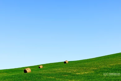 September 2014 Free Desktop Wallpapers