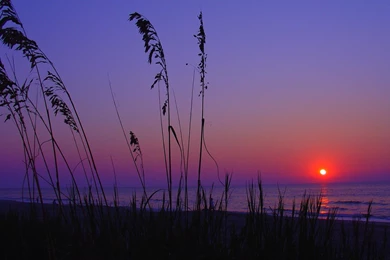 South Carolina Wallpapers   217207