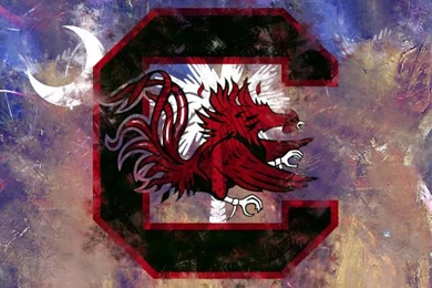 Photo "South Carolina Gamecocks" In The Album "Sports Wallpapers ...