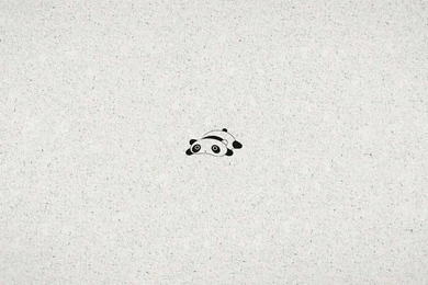 Wallpaper. Panda 16:9 By Alex Kropotkin On DeviantArt