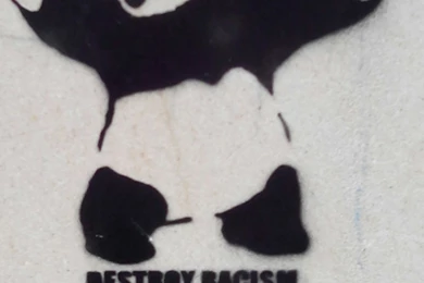 24 Pics That Are Likely To Put A Smile On Your Face   The Next Meme