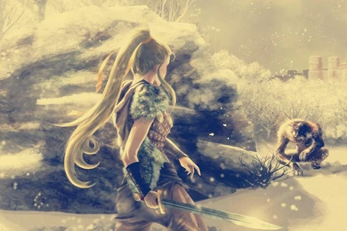 Runescape >> HD Wallpaper, Get It Now!