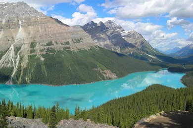 Wallpapers South Carolina Games Peyto Lake Landscapes Scenery ...
