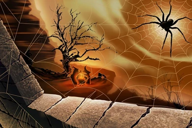 Free Screensavers And Wallpapers   KScreensavers.com