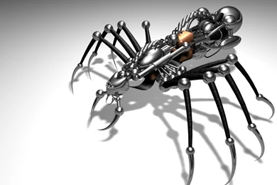 Free Screensavers And Wallpapers   KScreensavers.com