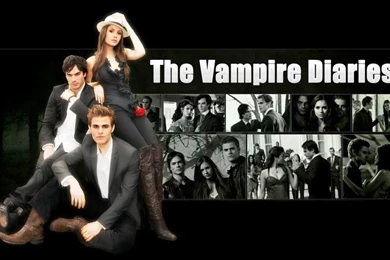 The Vampire Diaries On Stefan Salvatore   DeviantArt