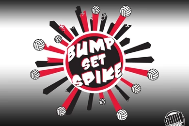 Volleyball Wallpapers   Best Car 2015