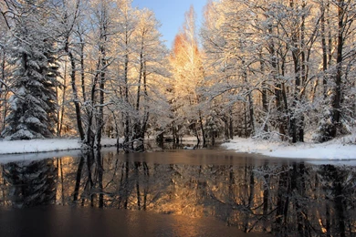 Free Desktop Winter Backgrounds   Wallpapers Cave