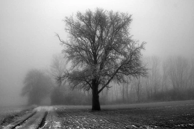 Photography Desktop Backgrounds HD Wallpapers And Pictures