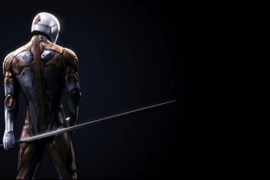 Gray Fox Wallpapers   Wallpapers Cave
