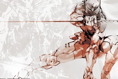 Gray Fox Metal Gear Metal Gear Solid Ninjas Wallpapers   (