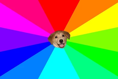 Meme Backgrounds Pictures   Wallpapers Cave