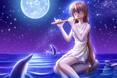 Dolphin Wallpapers Elegant