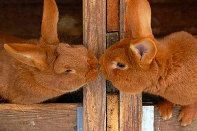 Intizarhussain: I Am Your Wallpapers And I Love You