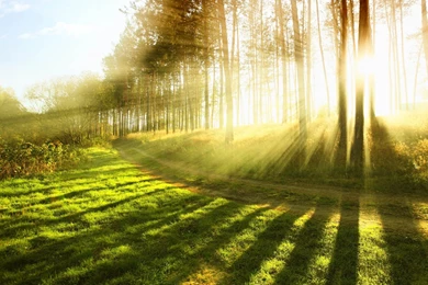 Sunlight Desktop Wallpapers