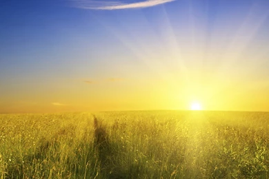 Morning Sunlight Wallpapers Wallpaper.