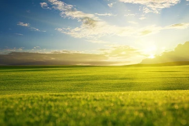 Beautiful Bliss 1280 X 1024 Wallpapers