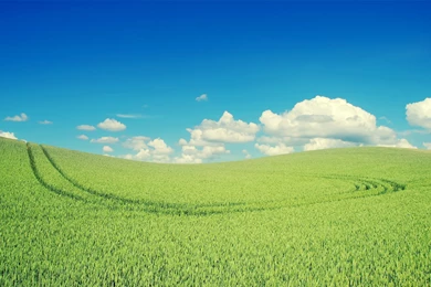 Theme Bin» Blog Archive » Bliss HD Wallpapers