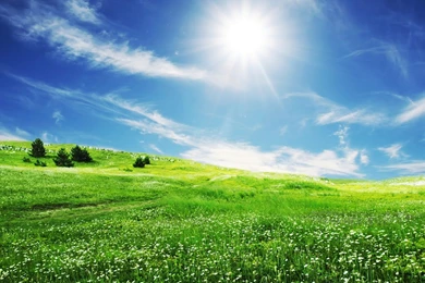 Beautiful HD Wallpapers: Amazing Spring Bliss Desktop Wallpapers