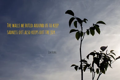 Keep Sadness Out Wallpapers