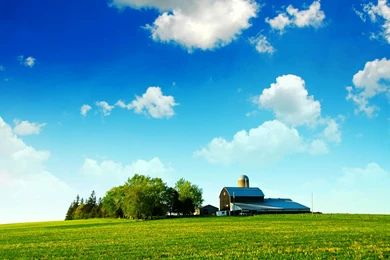 Farmland Blue Skies Bliss Wallpaper, Reforming Wall St And ...