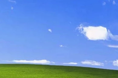 Funny Bliss Windows Xp iPhone 5 Wallpapers