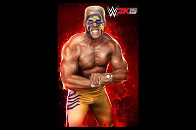 WWE 2K15 SmackDown Games Wallpapers Download