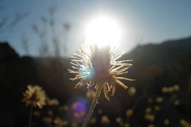 Pa Sunlight Wallpapers (