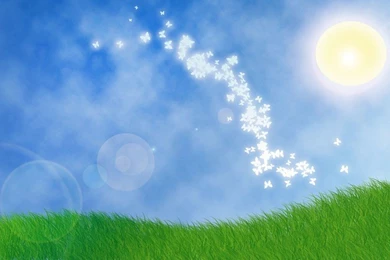 Glowing Butterflies In The Sunlight Free Desktop Backgrounds And ...