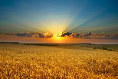 Sunset Clouds Landscapes Nature Fields Sunlight Wallpapers ...