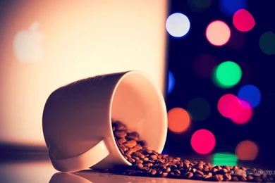 Stylish Girl With Attitude Cover Photo Short Quotes Pictureo ...