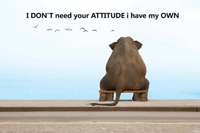 Download Cool Attitude Quotes Wallpapers