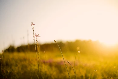 Hd Wallpapers   Taringa!