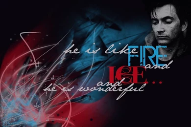 David Tennant Doctor Who Quotes. QuotesGram