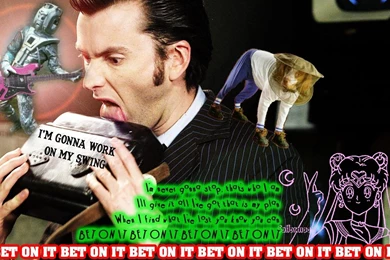 Text david tennant doctor who tenth doctor fresh new hd wallpaper doctor who wallpaper 89fd58ecf6ce7997823bb1b45c29aadc large 416715.jpg