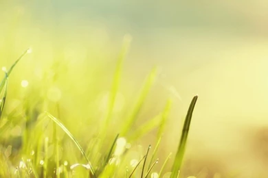 Sea Tide iPad Wallpapers Download