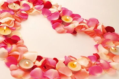 Greeting Card Design Templates