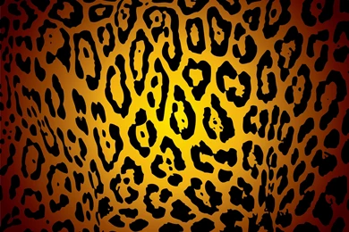 Leopard Print Wallpapers   Best Car 2015