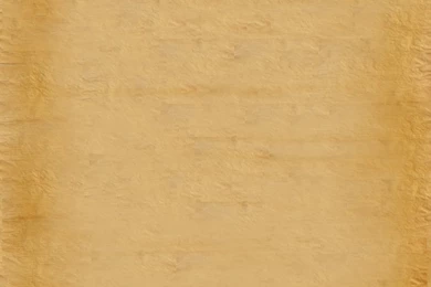 Parchment Paper Texture By Sinnedaria On DeviantArt