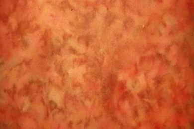 Free Digital Scrapbooking Paper   Parchment Paper Backgrounds