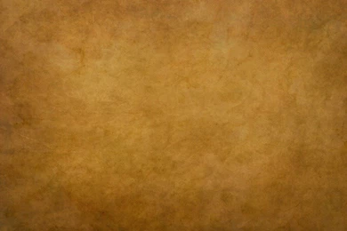 Seamless Paper Bag Texture