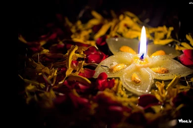 Lighting deepak with colorful flower greeting wallpapers