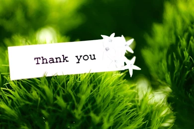 Greeting Thank You Hd Wallpapers Wallpaperss HD