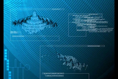 Wallpapers Technology My Free Abstract Data Packet 1024x768 ...