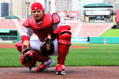 Yadier Molina Batting   Bing Images