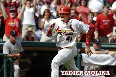 RedbirdCentral.com   St. Louis Cardinals Wallpapers   Yadier Molina 1