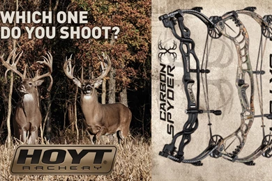 Hoyt Archery   WHICH ONE DO YOU SHOOT?   YouTube