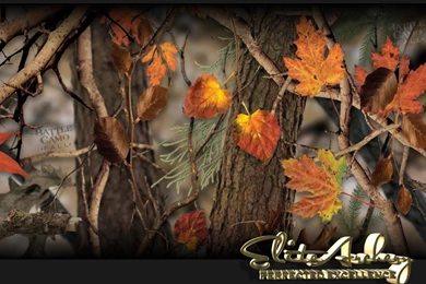 Desktop Backgrounds   Mathews, Hoyt, Bowtech, Diamond, PSE, Etc ...