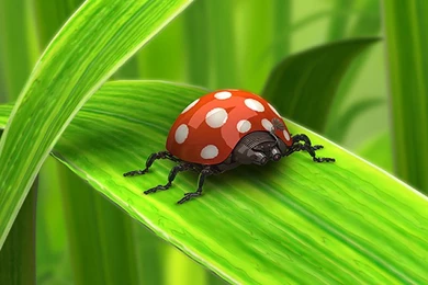 720x1280 Mobile Wallpapers